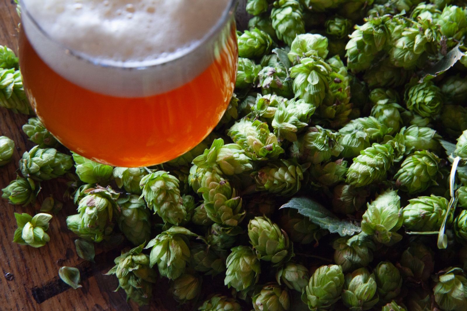 Tìm hiểu về Quy trình Ủ Bia (Brewing)