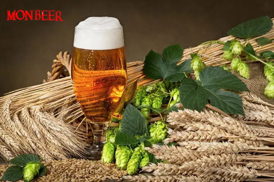 Vai Trò Của Lúa Mạch Trong Hương Vị Bia Đức