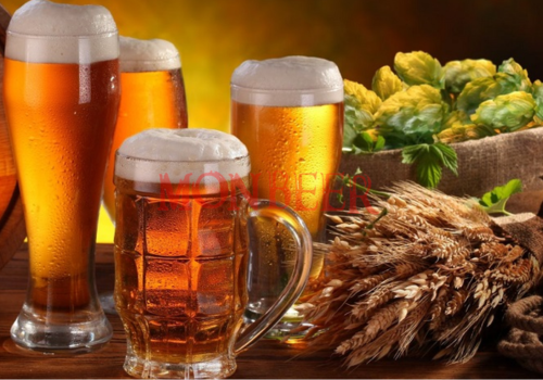 Những điều thú vị về bia Đức có thể bạn chưa biết